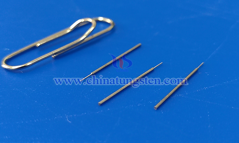 CTIA tungsten needle in biomedical and neural engineering photo